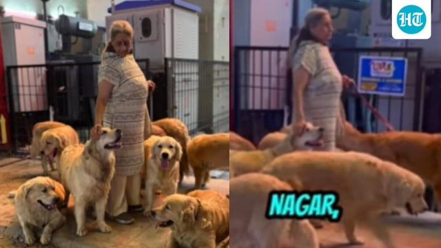 A Bengaluru woman walking 28 golden retrievers went viral.
