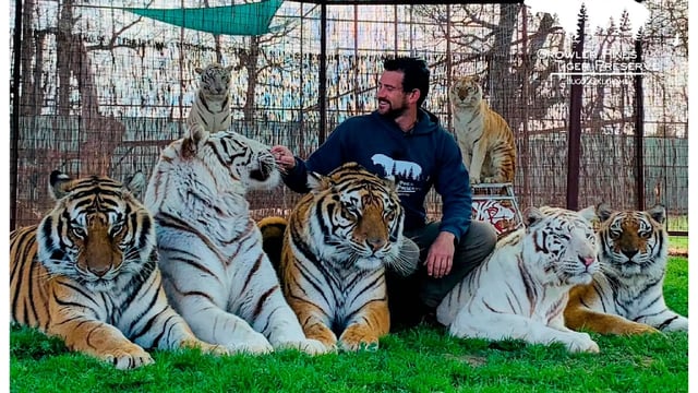 Tragischer Vorfall in den USA: Ein Tigerpfleger, eng verbunden mit dem „Tiger King“-Sta...