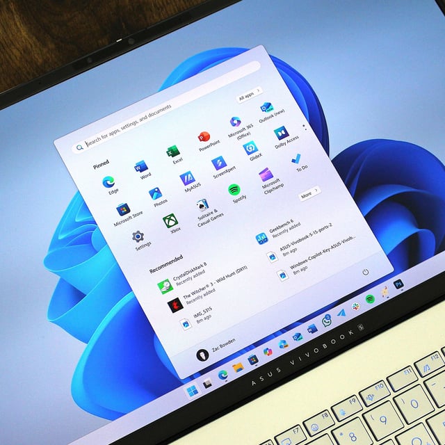 Windows 11