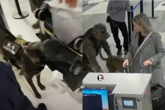 24 burriers cayeron en el nuevo Jorge Chávez en solo tres meses
