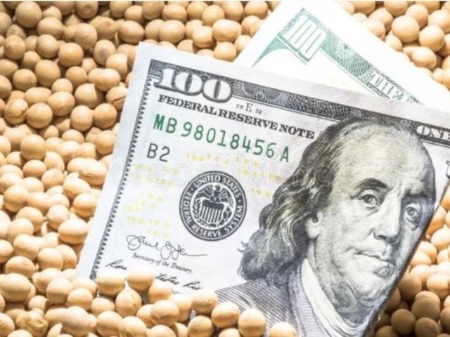 soja y billete de dólar.