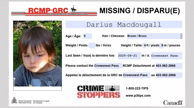 Searchers from Alberta and British Columbia have resumed their search for a five-year-old Alberta boy who went missing Sunday morning while on a walk with his family near Island Lake Campground in southwestern Alberta.