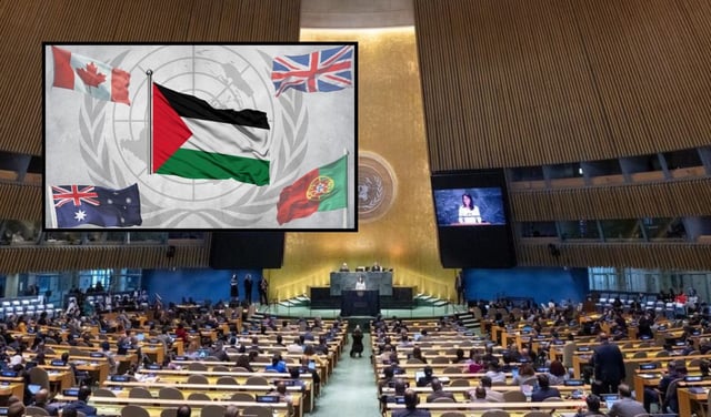 Paises que reconocen a Palestina como un Estado L