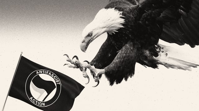 Illustration of a bald eagle swooping down on an Antifascist Action flag