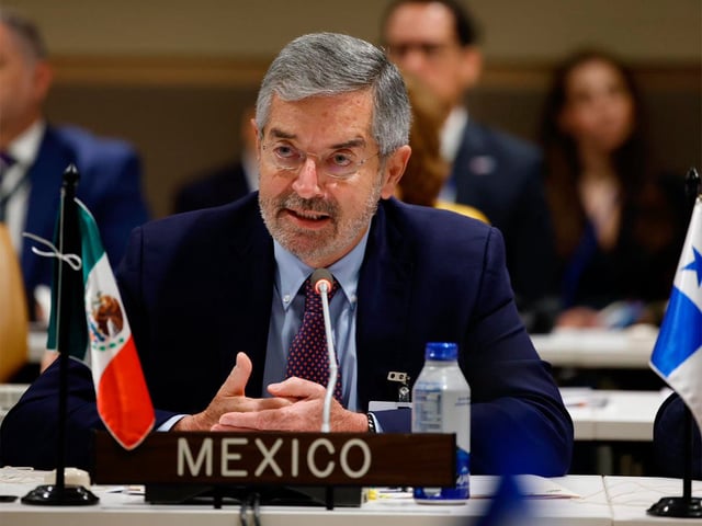 Juan Ramón de la Fuente en la Asamblea General de la ONU