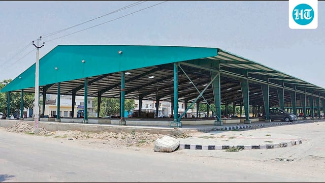 Paddy arrivals in prominent mandis are expected to pick up around September 25. (HT Photo)