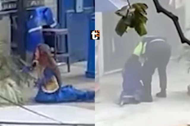Enjambre de abejas atacan a mujer trabajadora en Jesús María.