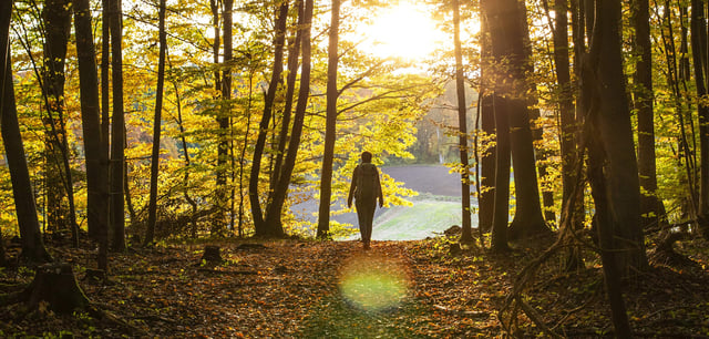 Im Herbst werden die Tage spürbar kürzer und kühler – für viele eine herausfordernde Umstellung