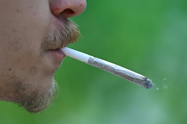 Junge Menschen zwischen 18 und 25 Jahren konsumieren zufolge deutlich mehr Cannabis als vor zehn Jahren. So gaben bei einer Befragung 31,6 Prozent der jungen Männer an, mindestens einmal innerhalb des vergangenen Jahres Cannabis konsumiert zu haben.