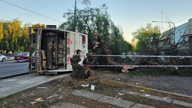 Un camión recolector chocó, volcó y derribó un árbol en la Costanera