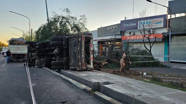 Un camión recolector chocó, volcó y derribó un árbol en la Costanera