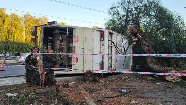 Un camión recolector chocó, volcó y derribó un árbol en la Costanera