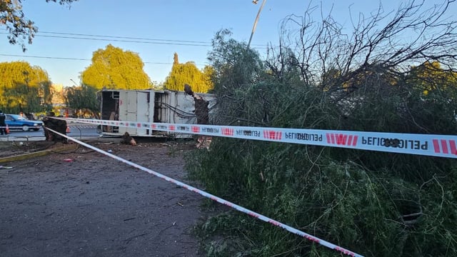 Un camión recolector chocó, volcó y derribó un árbol en la Costanera