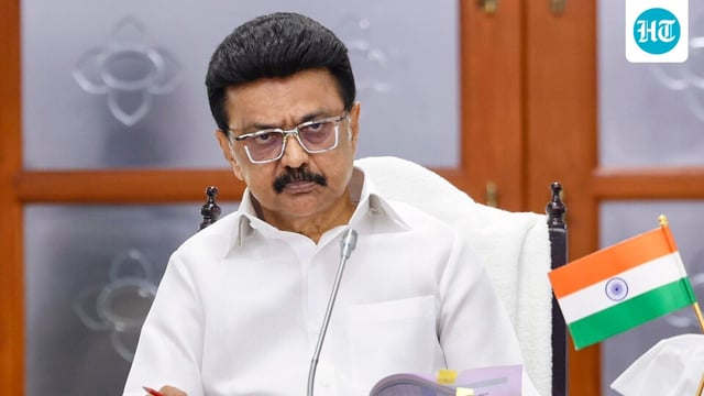 Tamil Nadu chief minister MK Stalin. 