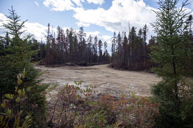 One of the fire breaks which was cut at the site of the Oldfield Road wild fire which is being patrolled in Miramichi, N.B., Friday, Sept. 19, 2025. THE CANADIAN PRESS/Ron Ward