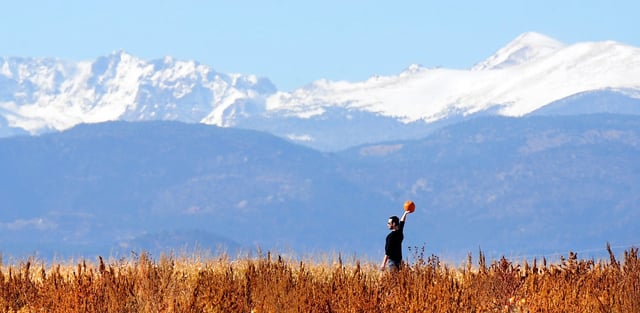 FEATURE28--The hunt was on for the perfect pumpkin, Thursday, Oct 28, 2010, at Rock Creek Farm in Broomfield. Snow covers the mountain west of the pumpkin patch. RJ Sangosti/ The Denver Post