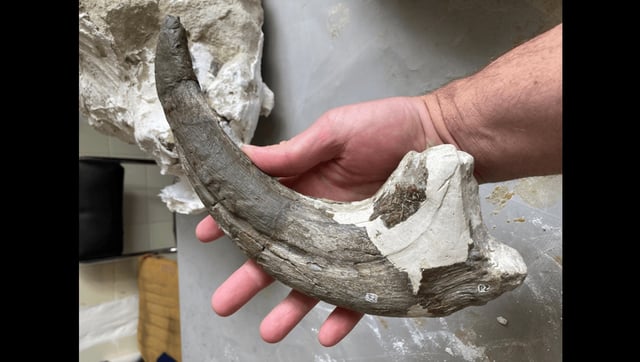This Croc-Eating Dinosaur Ruled South America 70 Million Years Ago, And The Claw On It? Outrageous
