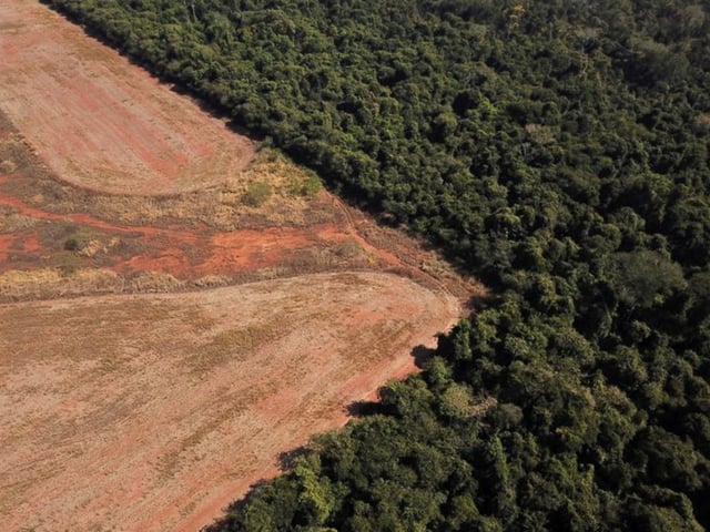 Una vista aérea muestra la deforestación cerca de un bosque en la frontera entre la Amazonia y el Cerrado en Nova Xavantina, estado de Mato Grosso, Brasil. 28 de julio de 2021. Imagen tomada con un dron. REUTERS/Amanda Perobelli