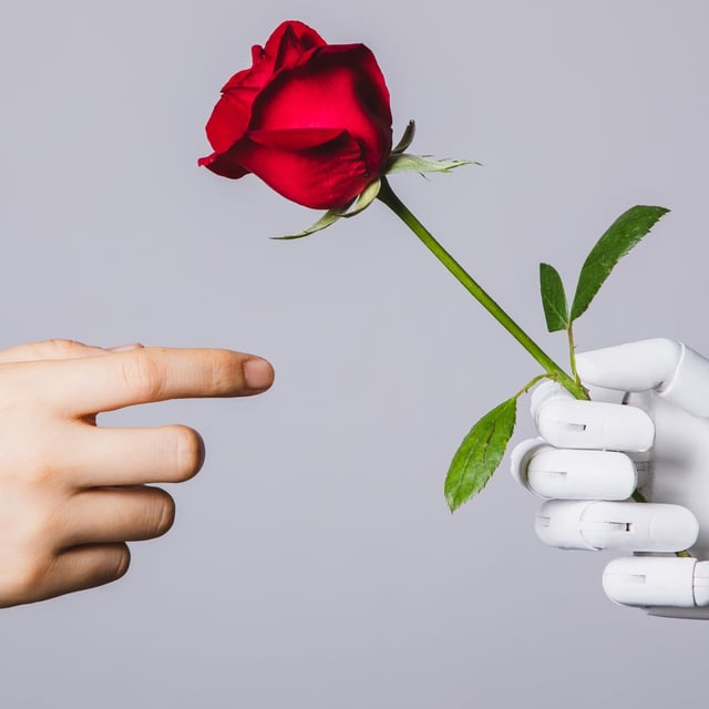 A stock photo of a human hand reaching for red rose held in a robotic hand.
