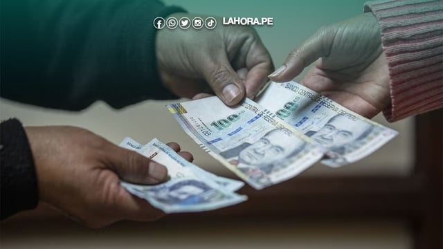300 será entregado en dos armadas para el sector público