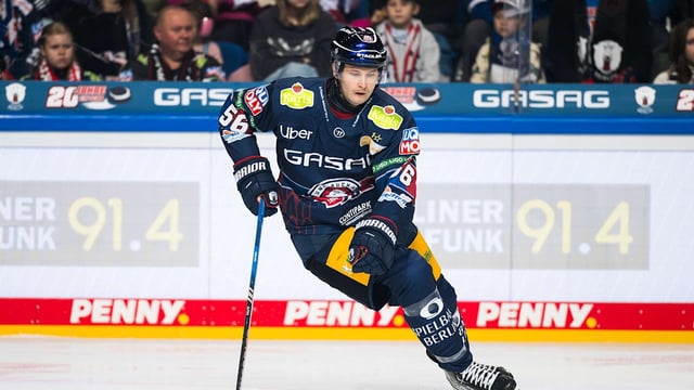Die Eisbären verpflichten einen neuen Spieler und lizensieren Finnen-Star Niemeläinen.