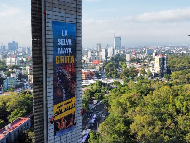 Integrantes de la organización no gubernamental (ONG) Greenpeace desplegaron una manta con la leyenda "La selva a gritar SEMARNAT sálvala" para hacer un llamado a las autoridades federales de detener lo proyectos cómo el Tren Maya o los desarrollos turísticos que afectan la flora y fauna y que han ocasionado deforestación a gran escala.