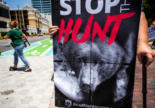 Animal Rights Foundation of Florida protest against the Florida Fish and Wildlife Conservation Commission’s proposal to hunt the Florida black bear in Orlando, Fla., Saturday, May 17, 2025. (Willie J. Allen Jr./Orlando Sentinel)