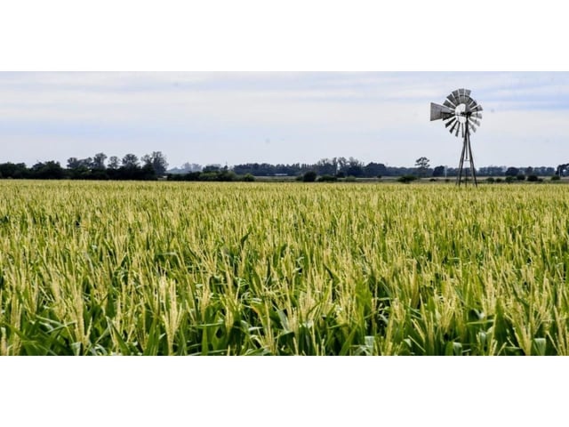 Campo, sector prioritario para el Gobierno.
