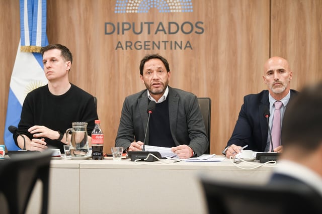 La comisión investigadora del caso $LIBRA volvió a reunirse (Foto: HCDN)