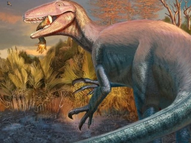 Descubrieron en Chubut  un dinosaurio carnívoro que habría sido de los últimos en extinguirse. Foto Conicet