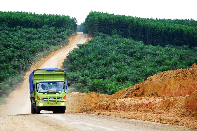 A palm oil plantation in Indonesia. Market leakage — sellers shifting EU-bound commodities to other less regulated markets — could undermine the effectiveness of the EUDR in some supply chains. Image by Ryan Woo/CIFOR via Flickr (CC BY-NC-ND 2.0).