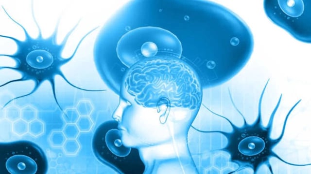 Brain-Eating Amoeba Kerala Reports 70 Cases and 20 Deaths