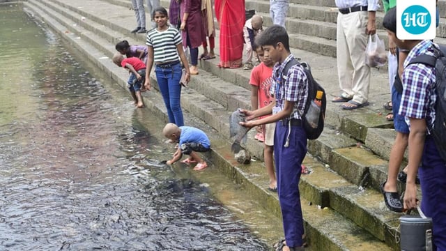On Tuesday, fish were seen gasping for oxygen at the edges of the tank from where fresh water enters, mainly at Gaumukh, the primary inlet of sweet water. (Anshuman Poyrekar/HT Photo)