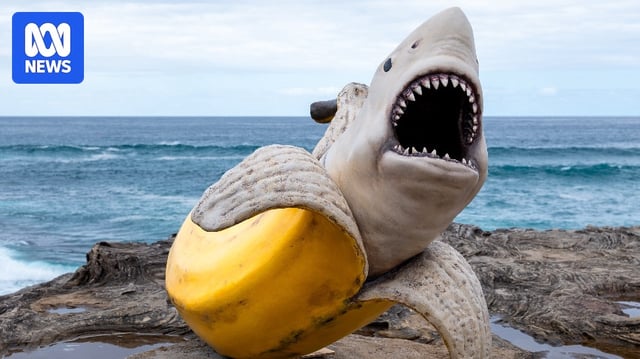 A image of a sculpture that shows a shark head coming out of a peeled yellow banana skin.