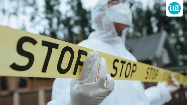 Midvale tragedy: Utah couple found dead in suspected murder-suicide (Pexel -representational image)