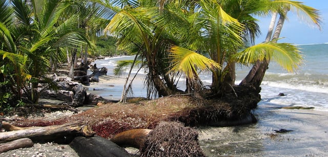 Landschaft im Nationalpark von Cahuita in Costa Rica