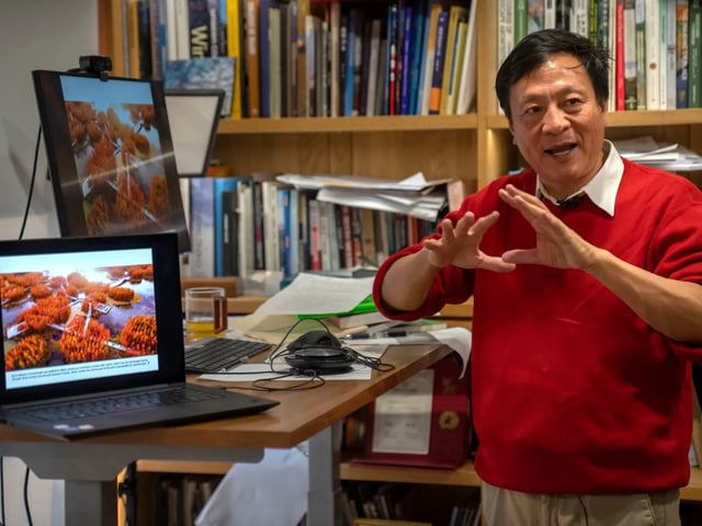 Kongjian Yu fue una referencia en la planificación sustentable. Foto: AP