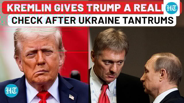 Russia fires back: 'We're a Bear—paper Bears don't exist,' Kremlin says to Trump