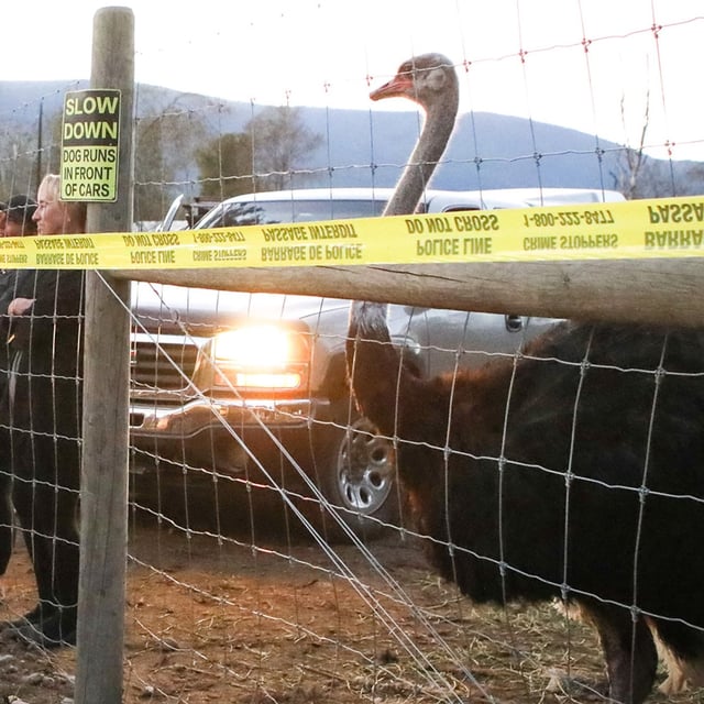 Karen Espersen, centre, the co-owner of Universal Ostrich Farms, speaks with supporters with her daughter, Katie Pasitney, at the farm in Edgewood, B.C., on Monday, Sept. 22, 2025, as the Canadian Food Agency prepares to cull 400 of the farm’s ostriches this week. THE CANADIAN PRESS/Aaron Hemens