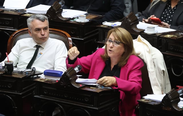 Mónica Fein, del socialismo, será la presidenta de la Comisión Investigadora del fentanilo adulterado