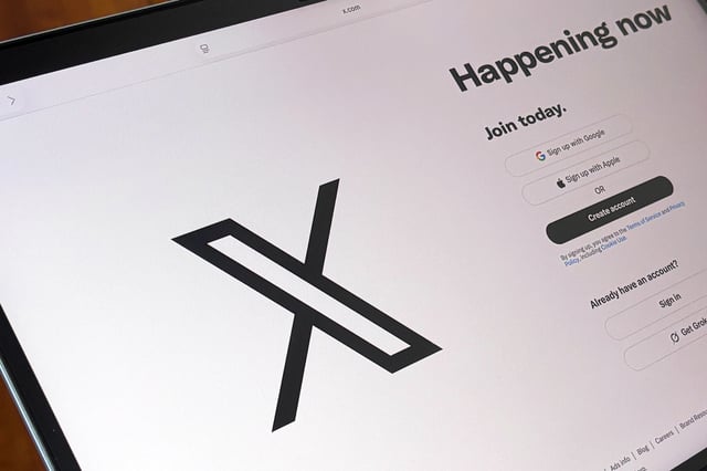 Elon Musk's X