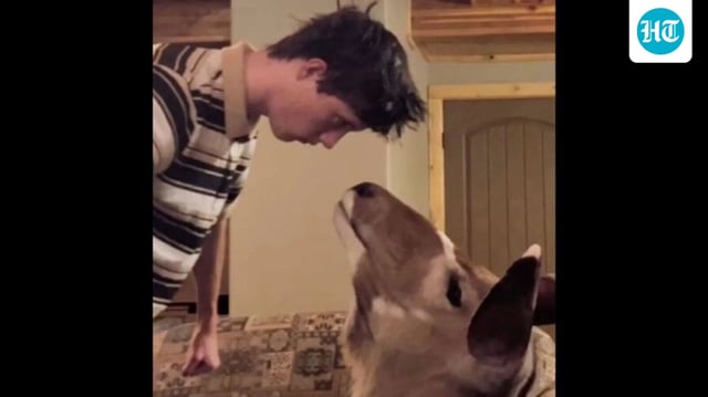 Was Lance Twiggs booted from family's home over Mormon faith? New details emerge (Lance Twiggs/TikTok)