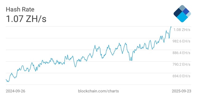 (Source: Bitcoin Hash Rate)