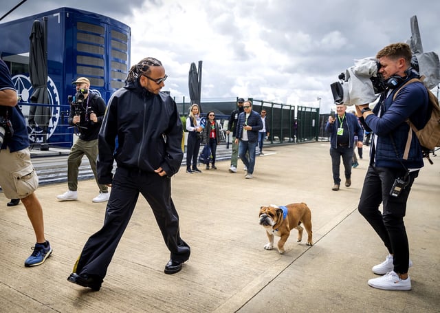 Lewis Hamilton (Mercedes) with his dog Roscoe in the paddock prior to practice 1 leading up to the F1 Grand Prix of Great Britain at Silverstone on July 1, 2022 in Silverstone, England. REMKO DE WAAL