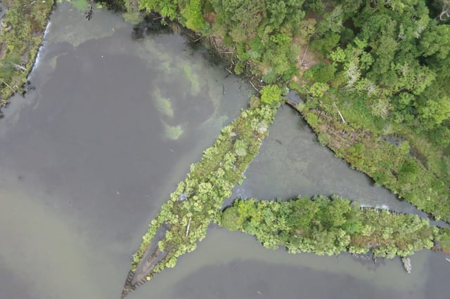 Along the Potomac River in Maryland, more than 100 abandoned World War I steamships make up the Ghost Fleet of Mallows Bay