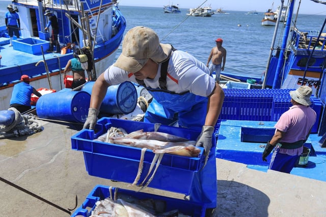 Pesca artesanal. (Foto: Difusión)