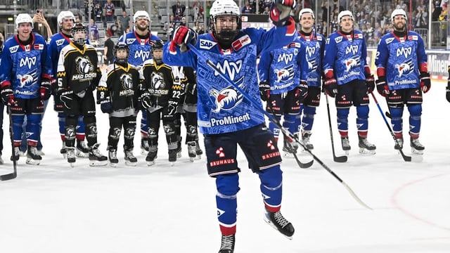 Manchmal dauert ein Wiedersehen ziemlich lange! Die Dresdner Eislöwen haben gegen die Adler Mannheim noch eine Rechnung offen.