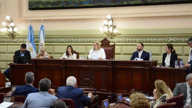 La Asamblea Legislativa sesionó en la Cámara baja provincial.