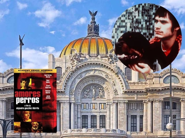 Amores Perros se proyectará en Bellas Artes: Fecha y dónde comprar boletos. Foto: INBA/Filmafinitty