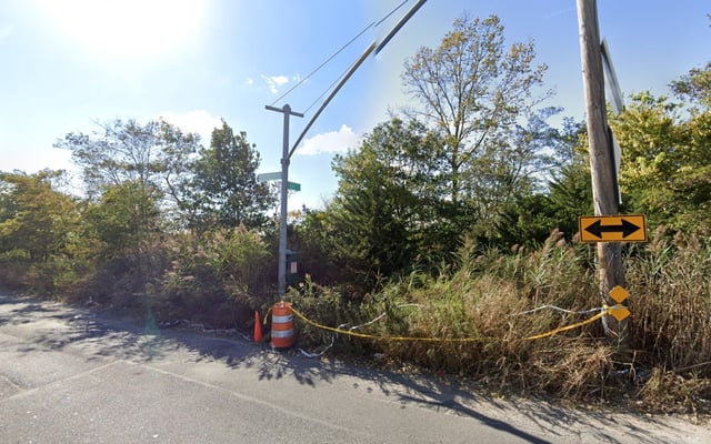 The remains were found near 149th Ave. and Brookville Blvd. on the edge of Idlewild Park in Rosedale just before 8 a.m. Monday, cops said. (Google)